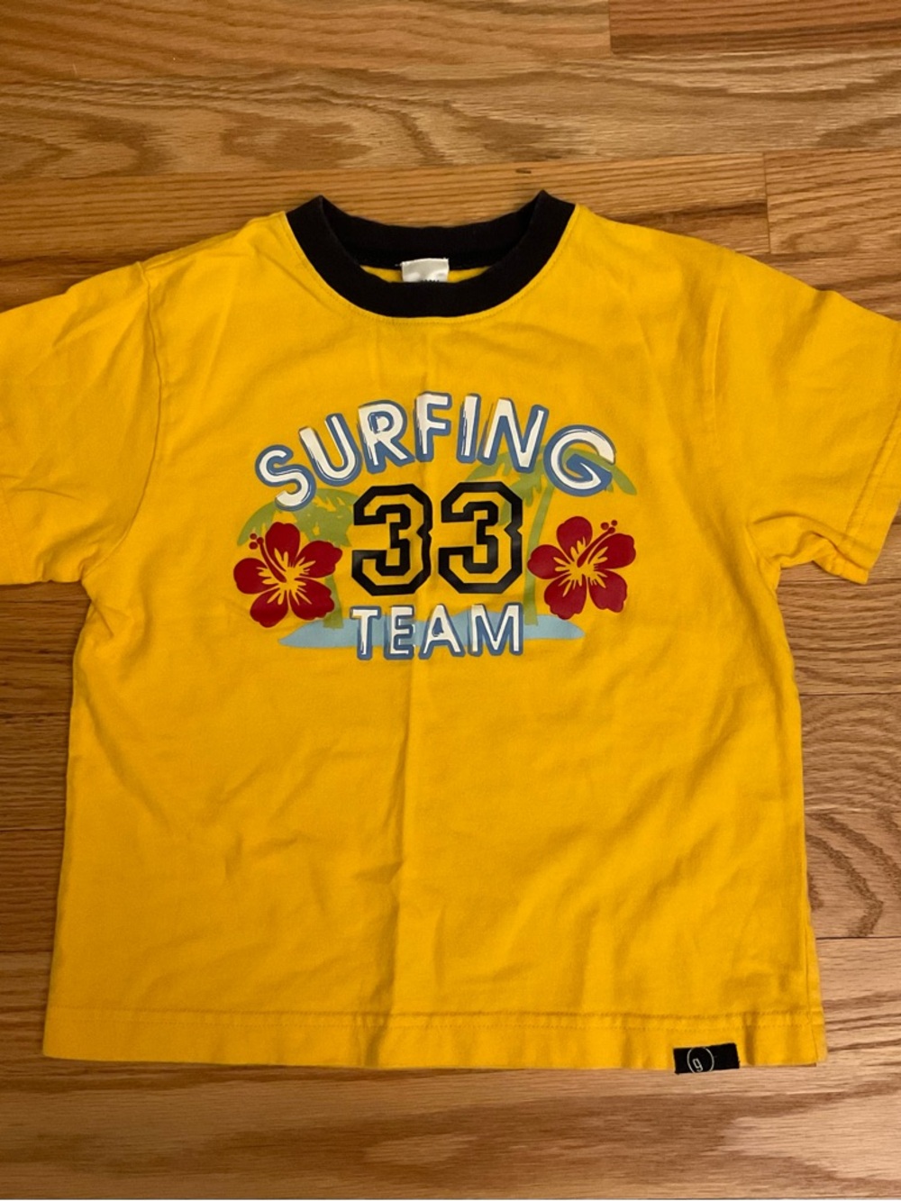 Gymboree 'Surfing 33 Team' Graphic Tee